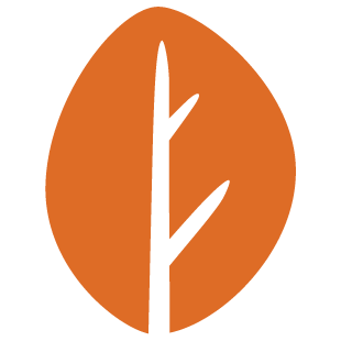 playjoinnow.com favicon